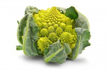 Le Chou Romanesco