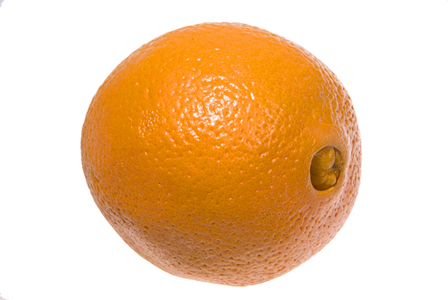 les premires oranges de table "Navel" !